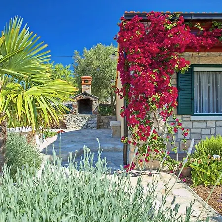 Stone House San Pelegrin Vela Luka