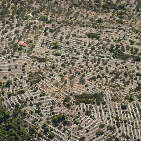 Stone House San Pelegrin *