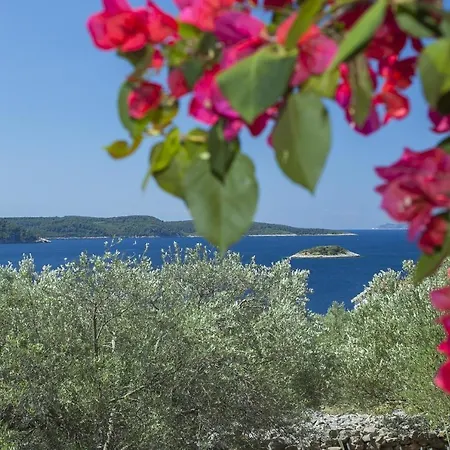 Stone House San Pelegrin Vakantiehuis Vela Luka