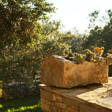 Stone House San Pelegrin Vakantiehuis *
